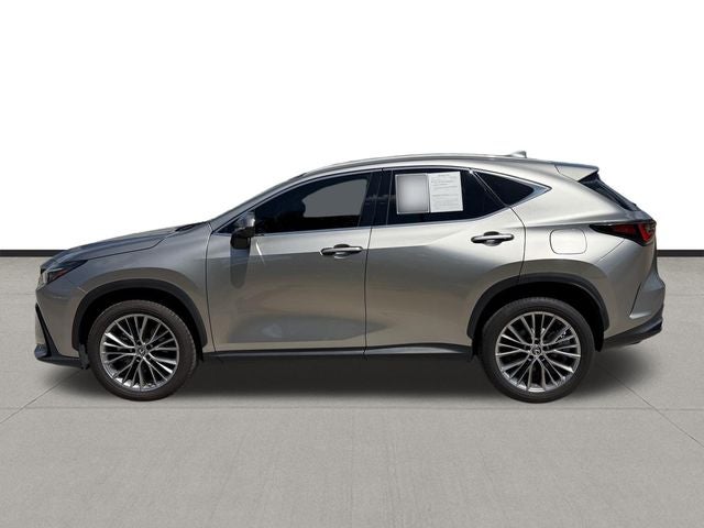 2022 Lexus NX 350 Premium