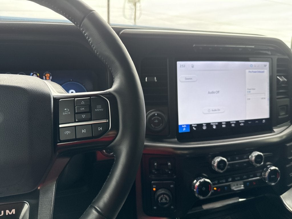 2024 Ford F-150 Platinum